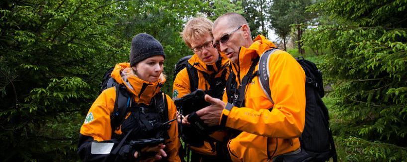 Tre fra Norsk Folkehjelp i skogen - Klikk for stort bilde