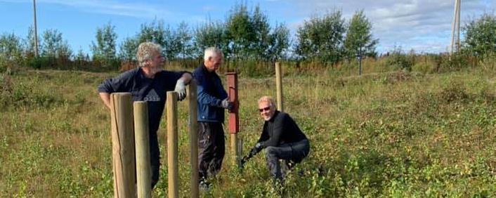 Tre menn som jobber på dugnad - Klikk for stort bilde
